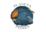 planeta-peixes-aquarismo-araguari-1409439339