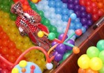 animacao-de-festa-araguari-1409552615