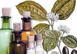 farmacias-de-homeopatia-araguari-1409634310