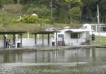 pesqueiros-araguari-1414091756