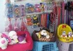petshop-araguari-1409440563