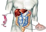gastroenterologia-araguari-1409634701