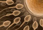 clinicas-de-fertilizacao-humana-araguari-1413058923
