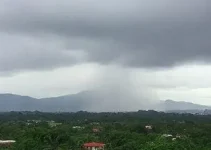 Previsão do Tempo Araguari