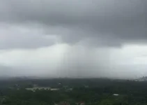 previsão do tempo em Araguari