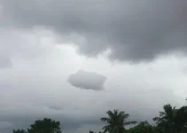 previsão do tempo Araguari