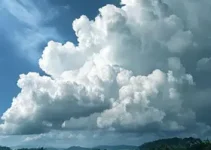 previsão do tempo em Araguari