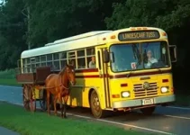 ônibus bate na traseira de carroça em Araguari