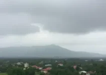 pancadas fortes e rápidas