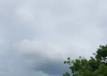 previsão do tempo em Araguari