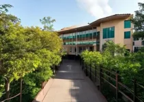 processo seletivo FAEPU Araguari
