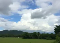 previsão do tempo em Araguari
