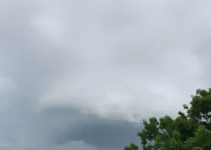 previsão do tempo Araguari