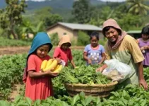 Agricultores familiares