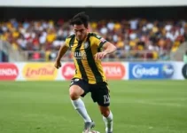 Superliga Masculina