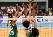 Norde Volei