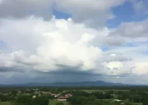 Araguari