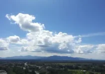 previsão do tempo em Araguari