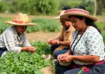 gestão e oportunidades no campo