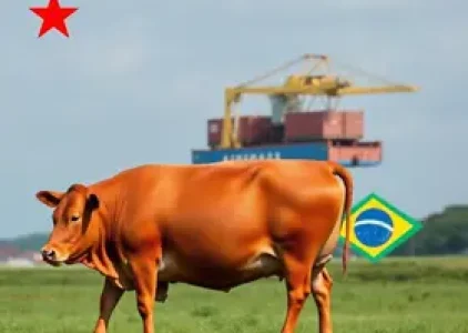 Últimas noticias de Araguari