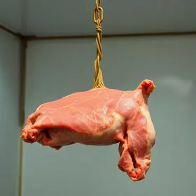 frigoríficos de carne bovina brasileira