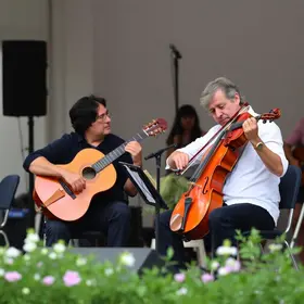 Festival Patos e Viola