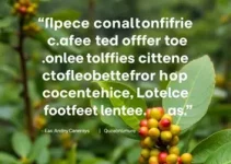 café
