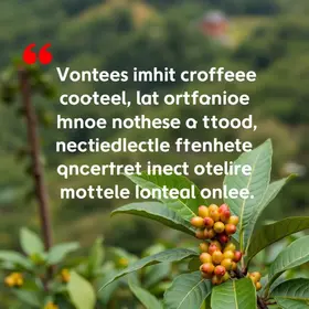 café