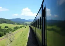 Amor de Trem