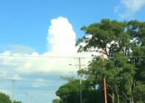previsão do tempo Uberlândia
