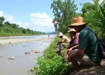 conservação dos rios
