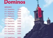 Domingos Sávio agenda Araguari Frutal