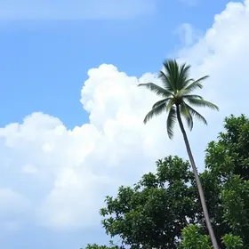 previsão do tempo em Araguari