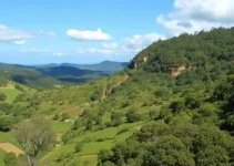 Setembro e Primavera em Minas Gerais